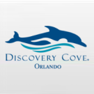 Discovery Cove Day Resort SEM NADO com Golfinho + SeaWorld Orlando + Aquatica Orlando - SUMMER PROMO - PACOTE DE BEBIDAS PREMIUM GRÁTIS! (21 anos ou +)